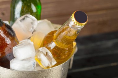bira ile buz kovası