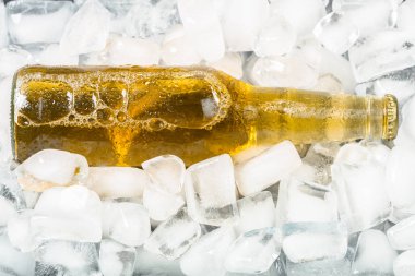 buz ile soğuk ve taze bira şişesi