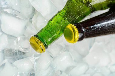 buz ile soğuk ve taze bira şişesi