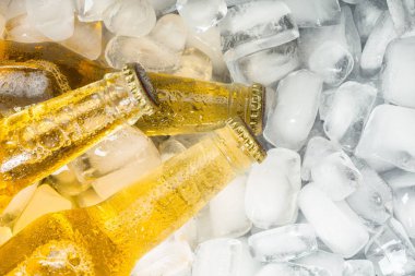 buz ile soğuk ve taze bira şişesi