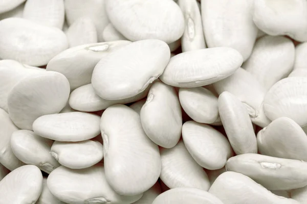 Close White Beans Background — Stock Photo, Image