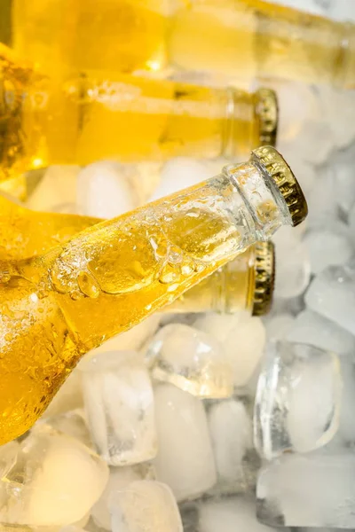 Bottles Cold Fresh Beer Ice — Stock Photo, Image