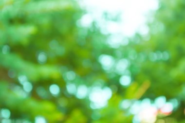 Doğa görünümü arka plan bulanık '