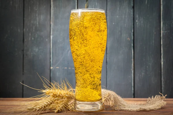 Glas Bier Hintergrund Nahaufnahme — Stockfoto