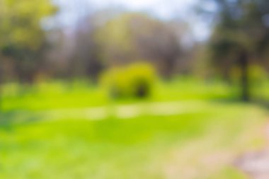 canlı yeşil bulanık park arka plan