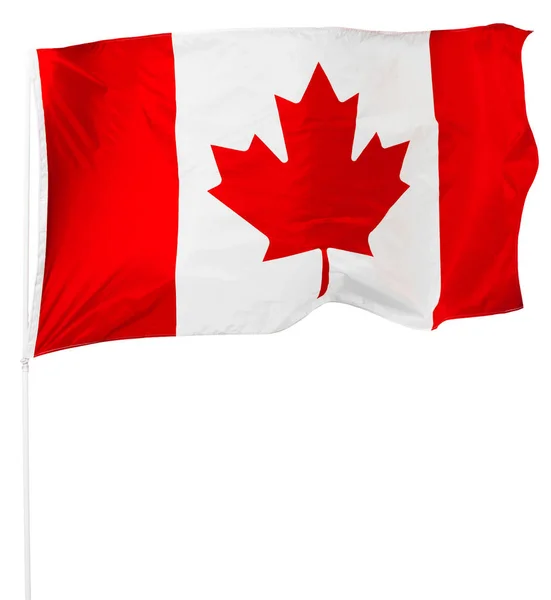 Canadese Vlag Geïsoleerd Witte Achtergrond — Stockfoto
