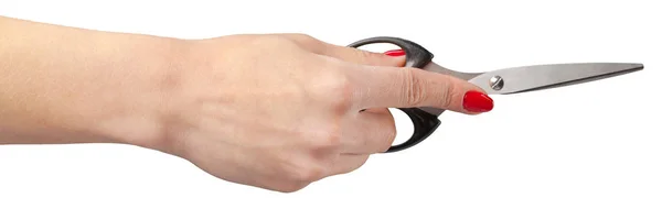 Die Hand Eines Friseurs Mit Einer Schere Auf Weißem Hintergrund — Stockfoto