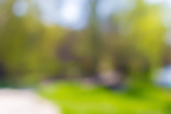 Яскравий Зелений Розмитий Фон Парку — стокове фото
