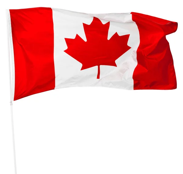 Canadisk Flag Isoleret Hvid Baggrund - Stock-foto
