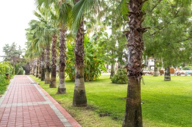 arka plan, köşede yaşayan yakın çekim