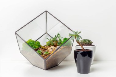 etli bahçede mini cam florarium