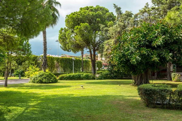 Bellissimo Panorama Forestale Sullo Sfondo Vicino — Foto Stock