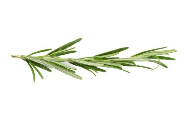 taze biberiye beyaz arka plan üzerinde izole kapatmak 