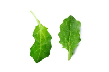  Yeşil yaprakların üzerinde beyaz arka plan izole kapatmak