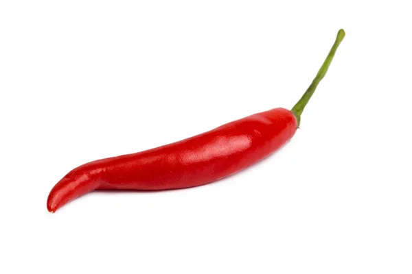 Primer Plano Chile Rojo Picante Aislado Sobre Fondo Blanco — Foto de Stock