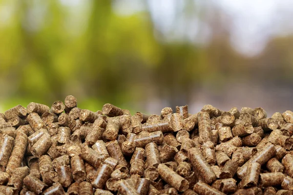 Pellet Mesa Fondo Enfoque Suave —  Fotos de Stock