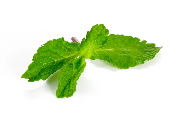 Foglie Menta Fresca Isolate Sfondo Bianco — Foto Stock