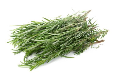 Biberiye beyazda izole edilmiş