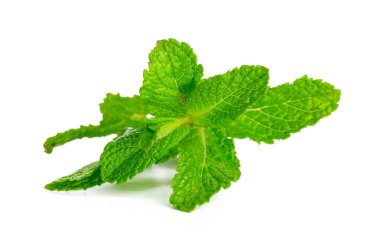 Beyaz arka plan üzerinde izole nane yaprakları, yakın çekim 