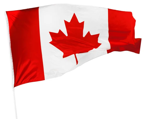 Bandera Canadiense Aislada Blanco — Foto de Stock