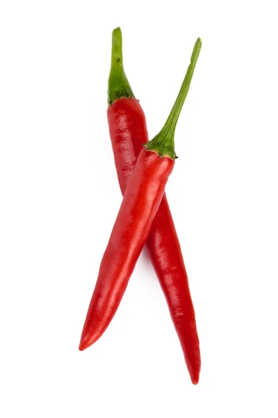 Närbild Varm Paprika Isolerad Vit Bakgrund — Stockfoto