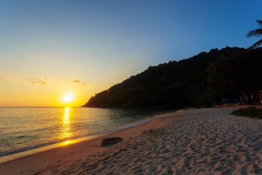 Deniz ve tropik sahil manzaralı görünüm 