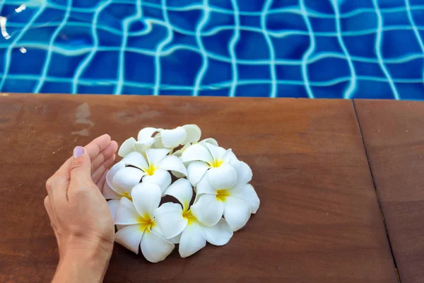 Floating Flores Frangipani Piscina — Fotografia de Stock