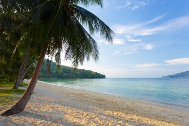 Deniz ve tropik sahil manzaralı görünüm 