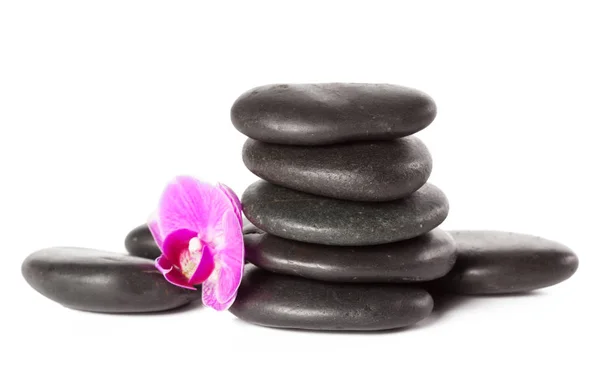 Zen Stone Orchidee Spa Concept — Stockfoto