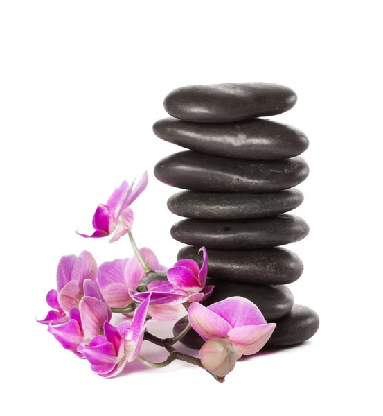 Zen Stones Orchid Flowers White Background — Stock Photo, Image