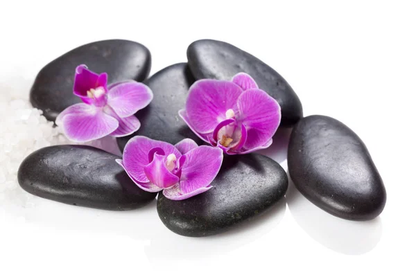 Pedras Zen Flores Orquídeas Conceito Spa — Fotografia de Stock
