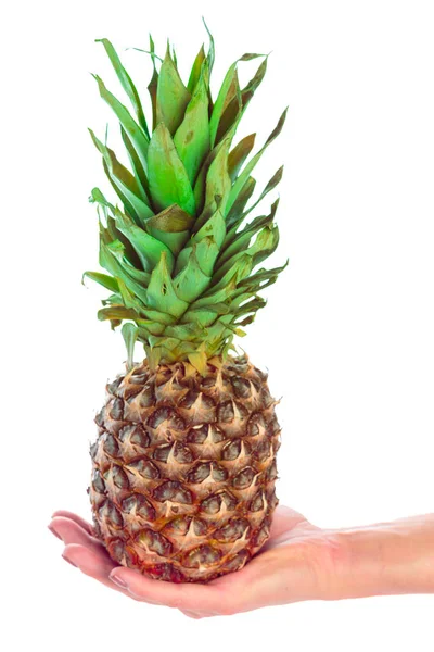 Tüm Ananas Beyaz Arkaplanda Izole — Stok fotoğraf