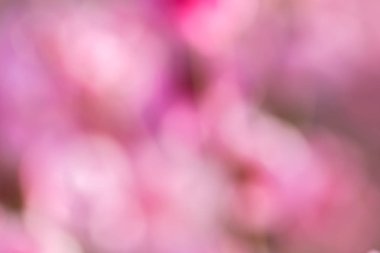 Soyut pembe bahar arka plan