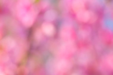 Soyut pembe bahar arka plan