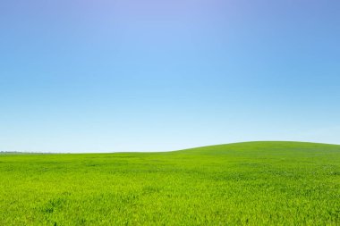 Gündüz, mavi gökyüzü ile yeşil alan 