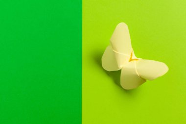 origami kağıt renkli arka plan üzerinde yakın çekim