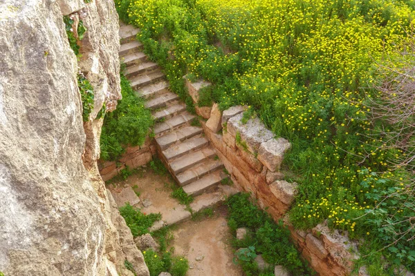 Des Ruines Anciennes Chypre Arrière Plan Gros Plan — Photo