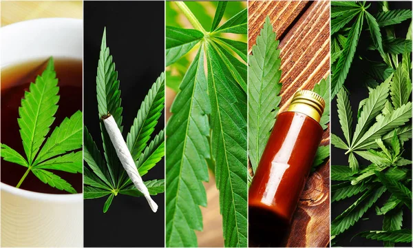 Cannabisblatt Collage Auf Hintergrund Nahaufnahme — Stockfoto