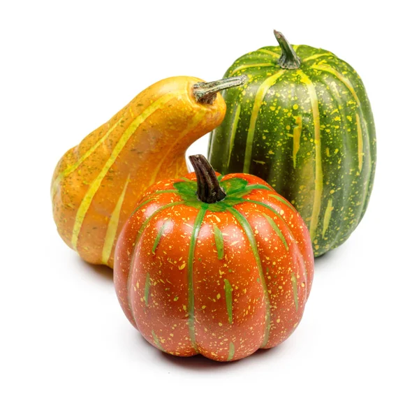 Stylish Halloween Decorations Decorative Pumpkins — Stock Photo, Image