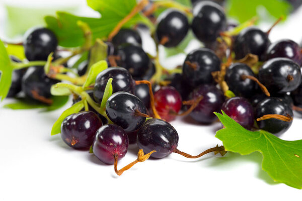 Berries black currant with green leaves. Fresh fruit, isolated on white background.
