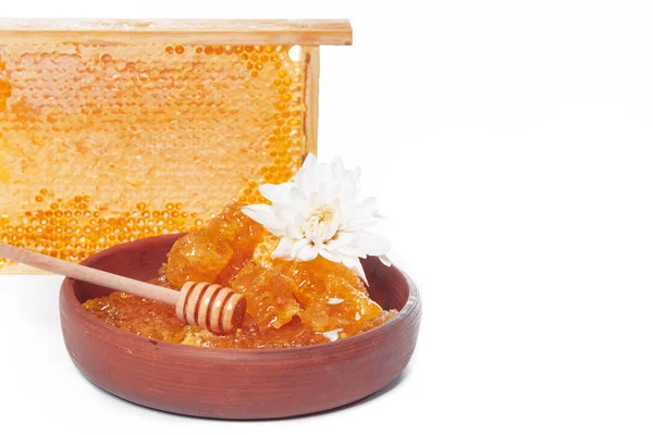 Des Nids Abeilles Frais Sur Fond Blanc — Photo