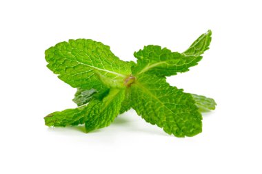 Beyazda izole edilmiş nane