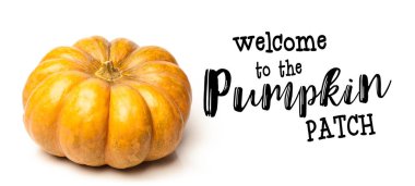 Minyatür kabak kopya alanı beyaz zemin üzerine.