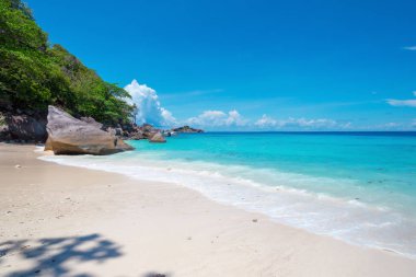 Tropikal kum plaj doğal görünümü