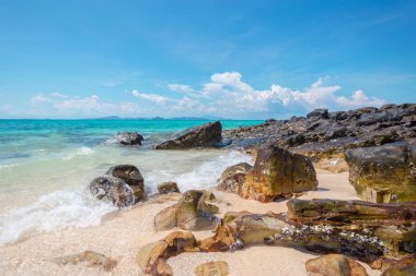 Denizi ve Sahili uçurumlarda doğal görünümü