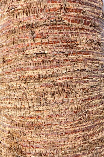 Schmutzige Holzwand Auf Hintergrund Nahaufnahme — Stockfoto