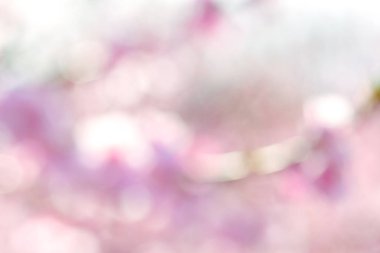 Pembe bahar arka plan, güzel bokeh.