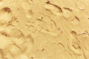 okyanus sunnay gün ile kumlu plaj 