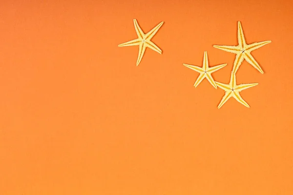 Морские Звезды Ярком Ярком Ярком Фоне — стоковое фото