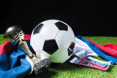 Futbol Kupası futbol topu çim siyah arka plan üzerinde ile 